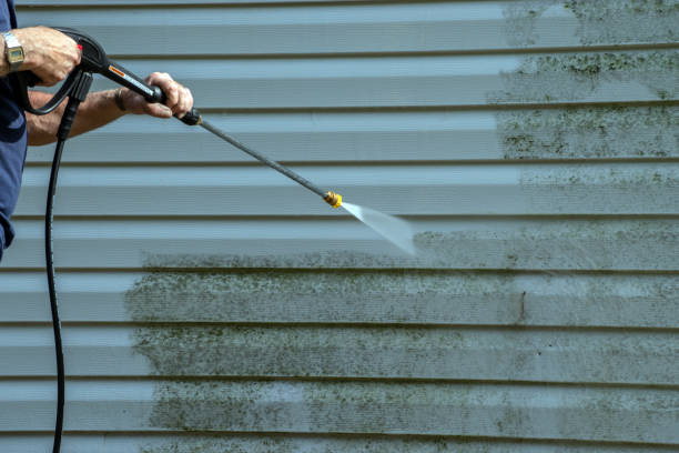 Best Exterior Home Cleaning  in Ackerman, MS